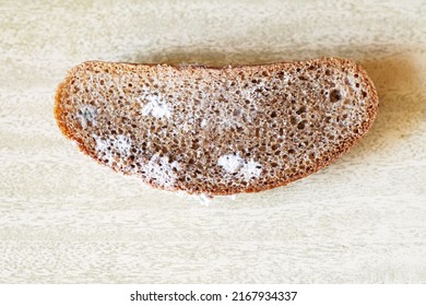 White Mold On Piece Bread Stock Photo 2167934337 | Shutterstock