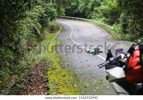 White motorcycle\
is traveling in the\
forest.\
