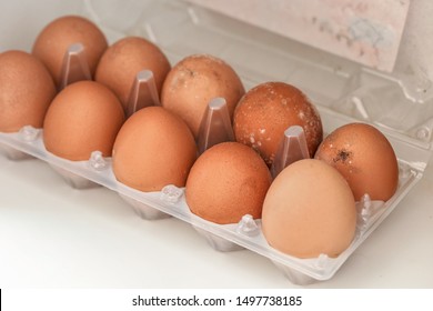 White Mould On Eggs That Have Been Stored In Wet Fridge For Long Time