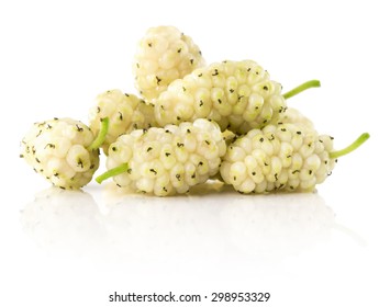 white mulberry