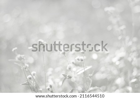 Similar – Foto Bild Schnee und Eis Landschaft