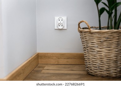 White nests against a gray wall, and next to it a wicker pot with a green flower on a wooden floor.
Green concept, green energy as the future.   - Shutterstock ID 2276826691