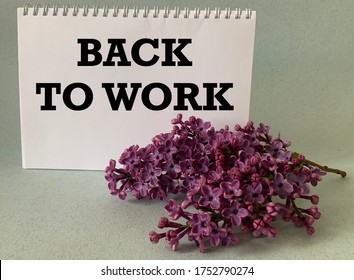 White Notepad With The Inscription Back To Work, Lilac On A Gray Background.The Concept Of Returning To Work After Quarantine.