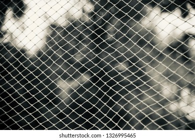 White nylon nets isolated object photo