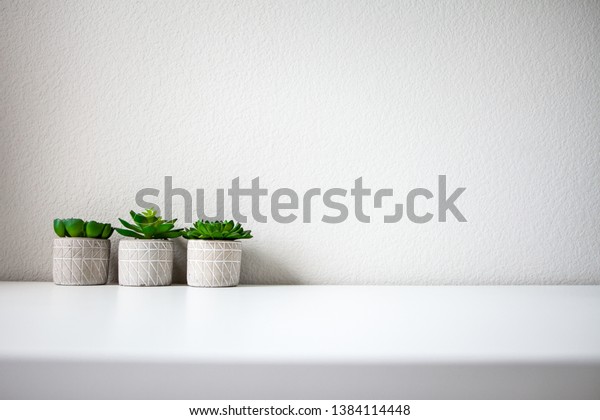 White office desk\
table with three green succulents, cactus. White background with\
table for product.