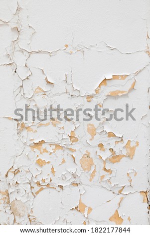 white old paint is peeling of a wall and gives an harmonic symbol for passing time
