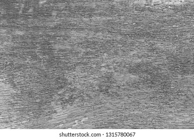 White old wood background texture