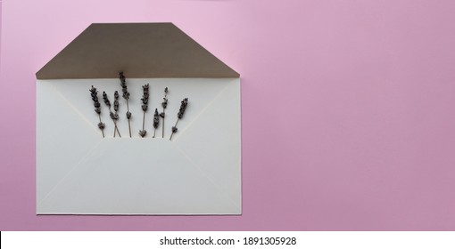 White Open Envelope With Lavender Flowers On A Pink Background. Letter With Flowers