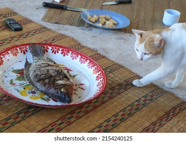 A White And Orange Cat Looking At A Grilled Fish On A Big Dish