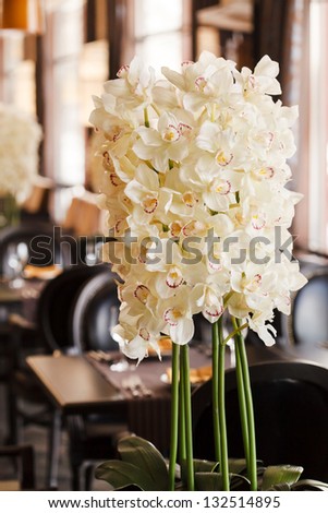 Similar – Image, Stock Photo orchid Elegant Wellness