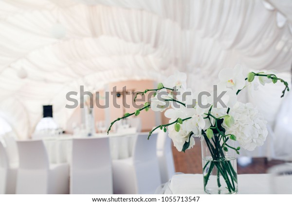 White Orchid Decoration On Wedding Banquet Stock Photo Edit Now