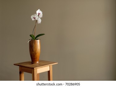 A White Orchid Photographed Against A Brown Wall In A Yoga Studio.