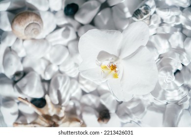 White Orchid With Yellow Core Lie On Surface Of Water Above Bottom With White Stones And Shell. Rare Drops Drip Onto Water And Circles Disperse. Transparent Fresh Water With Flecks And Waves. Top View