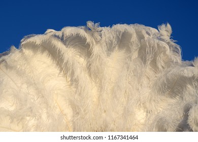 A White Ostrich Feather Fan Stands Against A Blue Sky