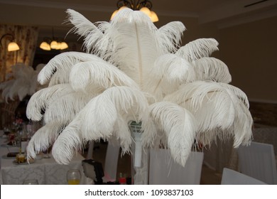 where to buy ostrich feathers