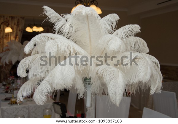White ostrich feather ,white feathers, wedding\
decoration theme