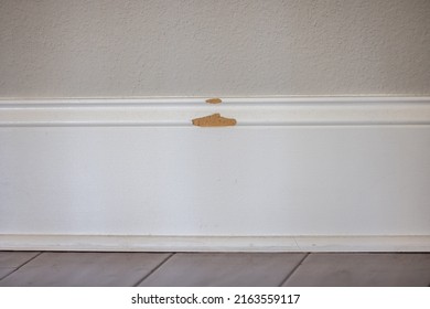 The White Painted Baseboard Trim On A New Construction House That Has A Broken Chunk Missing From The Mdf Material That Needs Repair.