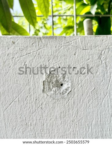 White painted cement wall with scratches and hole damage texture isolated on vertical outdoor green tree leaves and metal net window background.