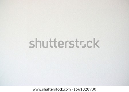 A white painted wall with a fine egg shell texture.