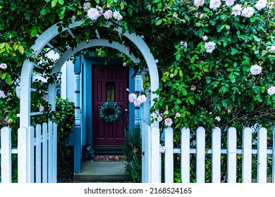 White Painted Wooden Arbor Covered In Rose Bush Vines With Green Leaves And Pink Blooming Flowers At Entrance