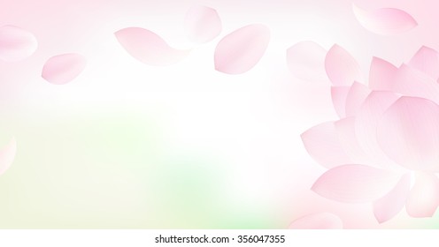 White panoramic background with pink petal of lotus and flower on blur background - Shutterstock ID 356047355