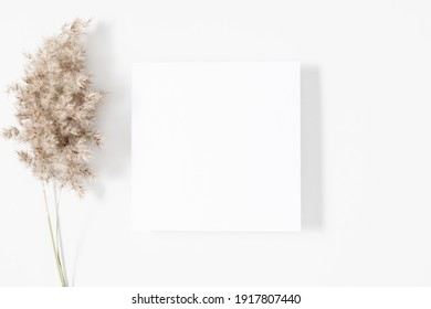 White Paper Empty Blank, Dried Grass Decoration On White Background. White Square Invitation Card Mockup On White Table. Flat Lay, Top View, Copy Space, Mockup