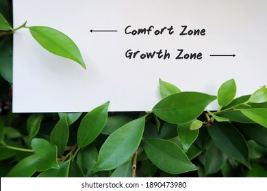 White paper note in tree bush with text written COMFORT ZONE , GROWTH ZONE and pointing to each direction, concept of making decision to stay in comfort zone or step out taking risk and learn to grow - Shutterstock ID 1890473980