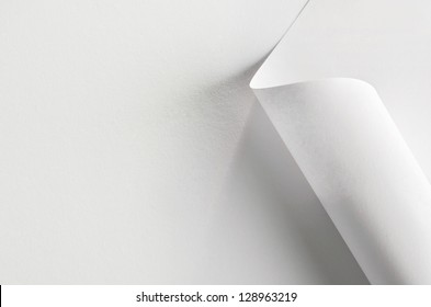 White paper, partially rolled up, close-up
