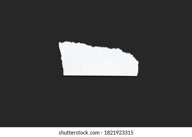 White Paper Torn Apart On Black Background