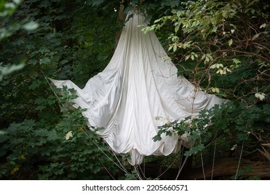 White Parachute Hanging In The Trees