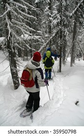 White Parka, Snowshoe Hikers In Woods,		Shrine Pass, Near Vail Pass, 	Colorado