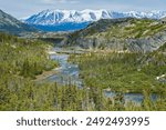 White pass river view and railway bridge