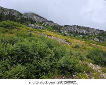 White Pass Summit Railroad Excursion in Skagway Alaska USA.  Images captured as we traveled both up and down the Mountain.  Rocks, Trees, Waterfalls, Moss, Water from ponds, river and creeks.  All of natures beauty.