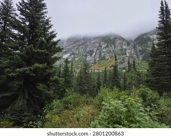 White Pass Summit Railroad Excursion in Skagway Alaska USA.  Images captured as we traveled both up and down the Mountain.  Rocks, Trees, Waterfalls, Moss, Water from ponds, river and creeks.  All of natures beauty.