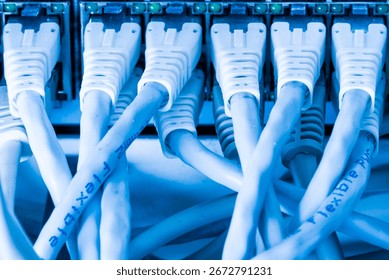 white patch cables connected to data switch