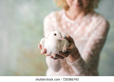 white peace dove in hands of a woman - Powered by Shutterstock