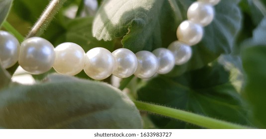 White Pearlescent Beads Hang Between Green Geranium Leaves (angle).