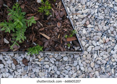 White Pebble Pine Bark Garden Decoration