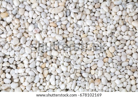 White pebble stone texture on the ground. 