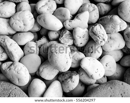 White pebbles on the floor,black and white effect.
