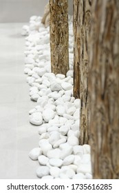 white pebbles and tree trunks in the interior