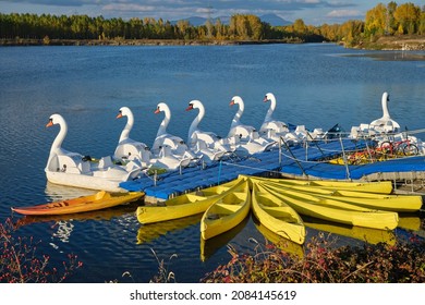 1,830 Swan pedal boats Images, Stock Photos & Vectors | Shutterstock