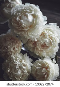 White Peonies Bouquet Dark Background