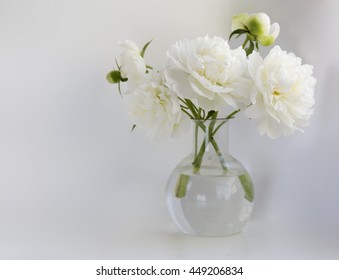 White Peony In Glass Vase On White Background