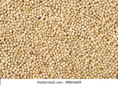 White Peppercorns Background 