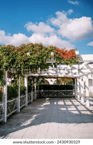 White pergola in the garden entwined with green branches