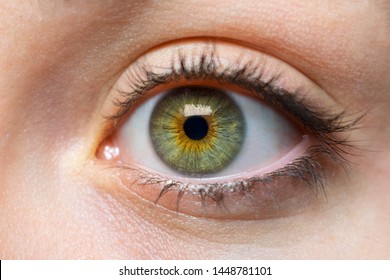 white person with green eye