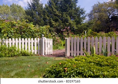 White picket fence and gate frame the entrance to a kitchen garden overflowing with produce