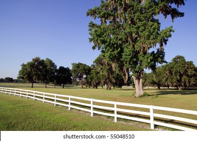 White Picket Fence On A Horse Farm