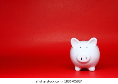 White Piggy Bank Isolated On Red Background With Copy Space For Text Message - Fund , Investment , Saving Money - Red Concept Of Banking And Stable Financial Concept 